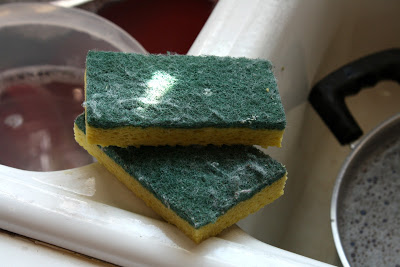 Kitchen sponge