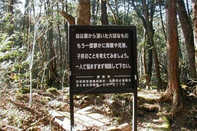 Aokigahara suicide forest 