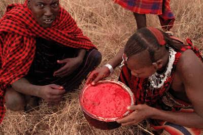 Samburu blood meal 