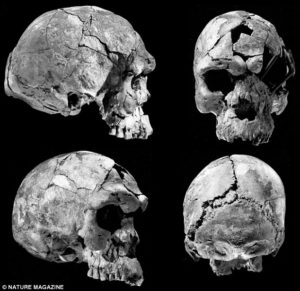 earliest human skull