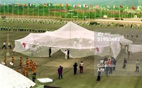 Biggest mosquito net
