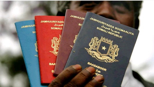 Most powerful passports in Africa