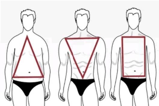 Most Popular Types Of Male Body Shape