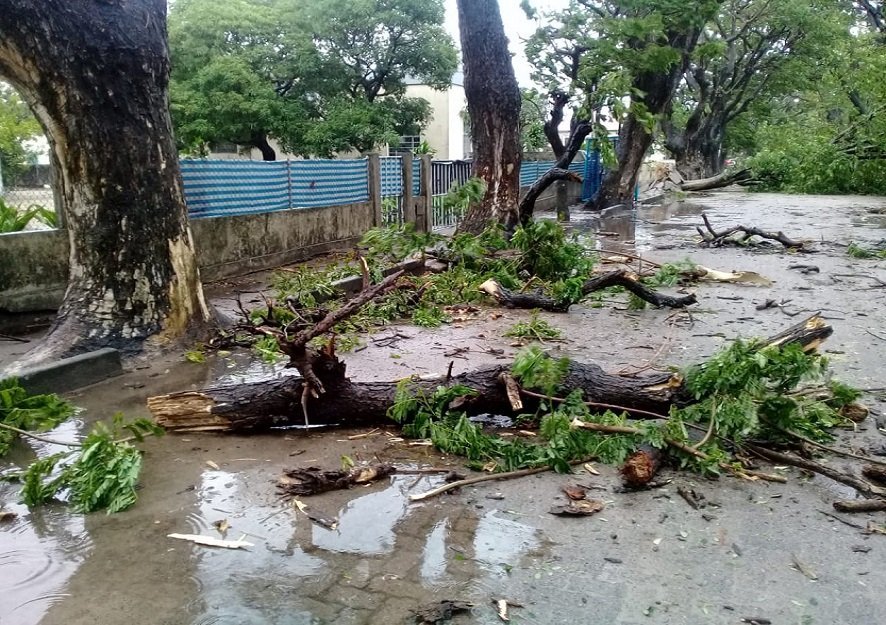 Rare Cyclone in Africa kills 122 in Mozambique and Malawi After Unleashing Heavy Rains 