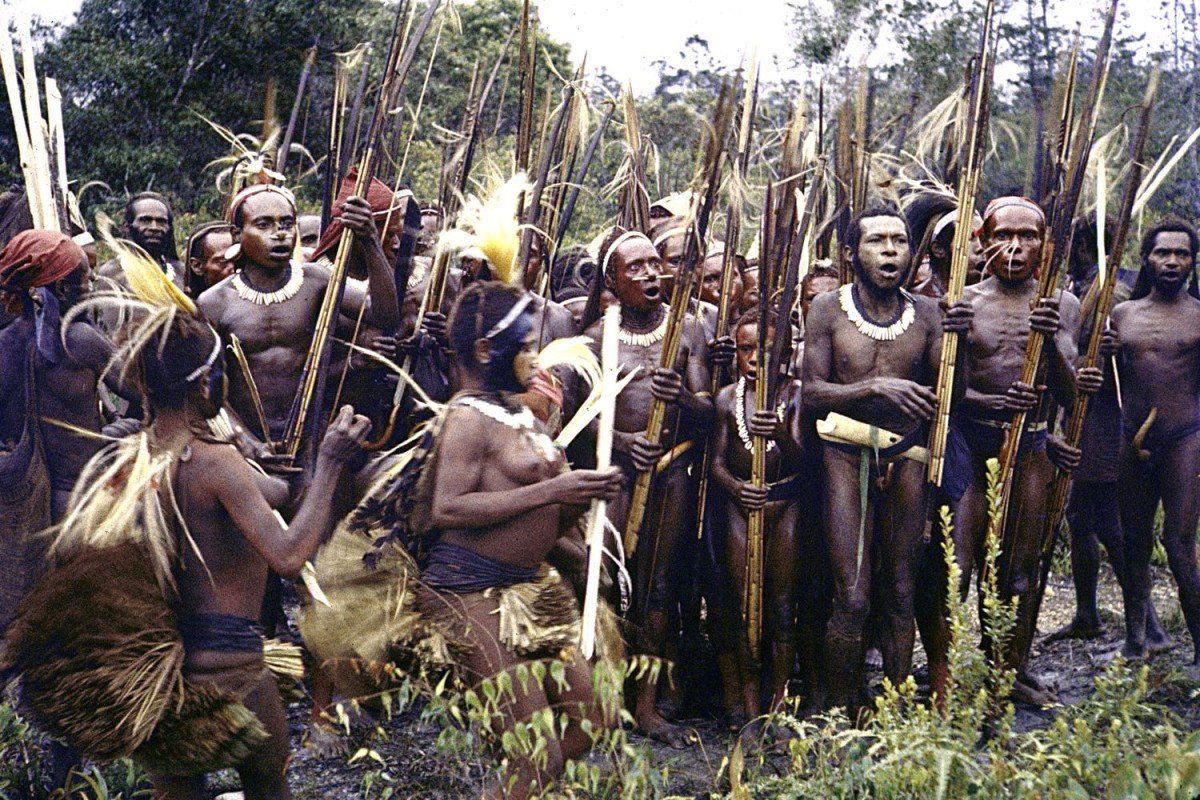 A Look Into The Sentinel Tribe That Is Isolated From The World A Look Into The Sentinel Tribe That Is Isolated From The World