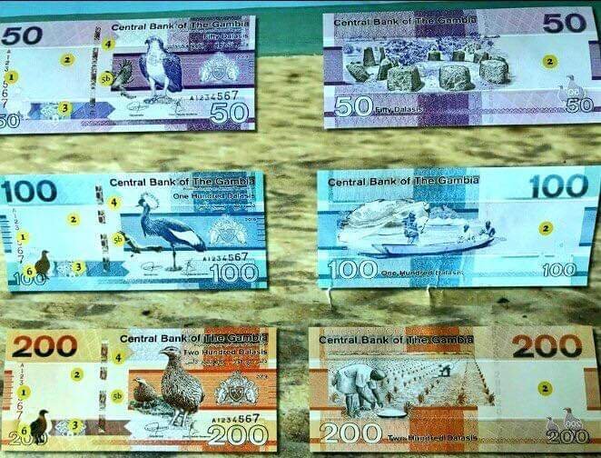 Gambia Releases New Currency Notes With Birds Replacing Portraits of Ex-president Jammeh