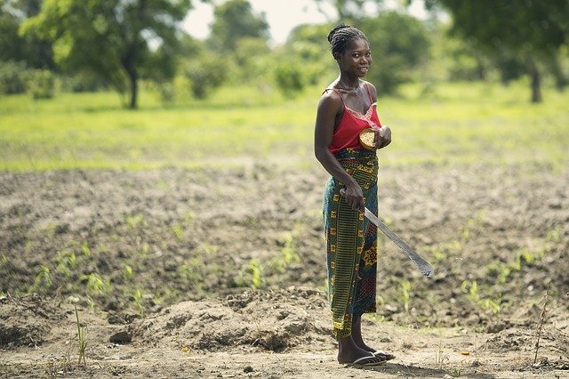 Africa’s Climate is Getting Worse for Farming, Survey Reports 
