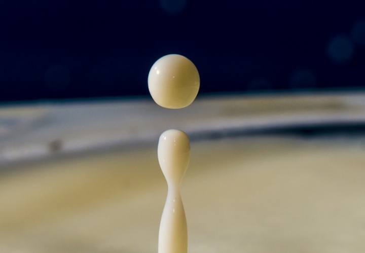 A Universe From Milk: The Creation Story of Doondari 