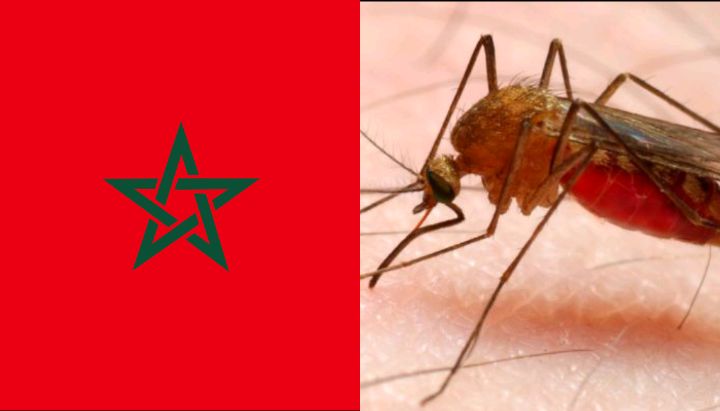 Morocco is among the Only Malaria-free Countries in Africa