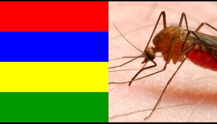Mauritius is the first certified Malaria-free Country in Africa 