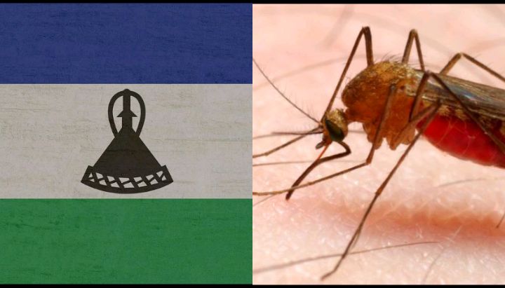 Lesotho is among the Only Malaria-free Countries in Africa