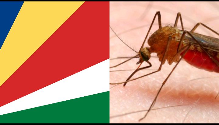  Malaria-free Countries in Africa