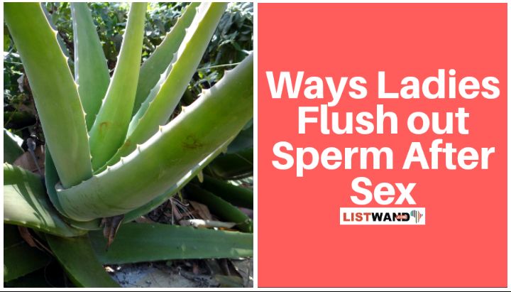 Aloe vera is also used by ladies to flush out sperm after sex