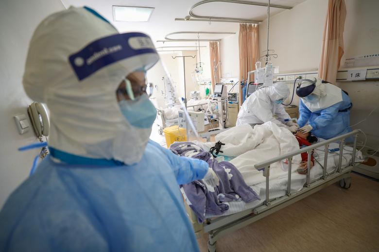 Egypt Confirms Second Coronavirus Case: Algeria Reports Two More Cases 