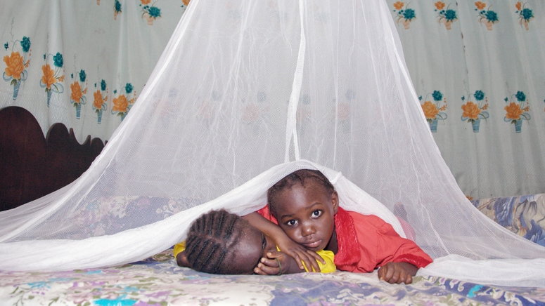 These are the Only Malaria-free Countries in Africa