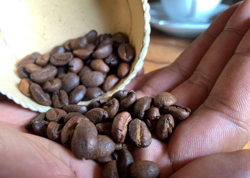 Bat Spit Coffee: Madagascar's Most Expensive Coffee