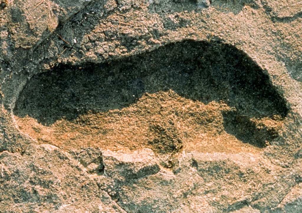 The Largest Collection of Ancient Footprints in Africa Has Been Discovered in Tanzania