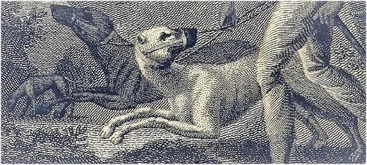 Negro Dogs: How Vicious Dogs Were Used To Hunt Runaway Slaves