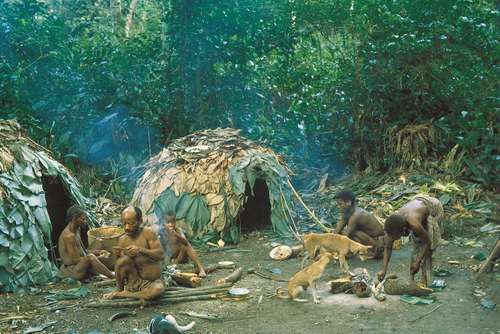 Efe camp in the Ituri Forest, Democratic Republic of the Congo