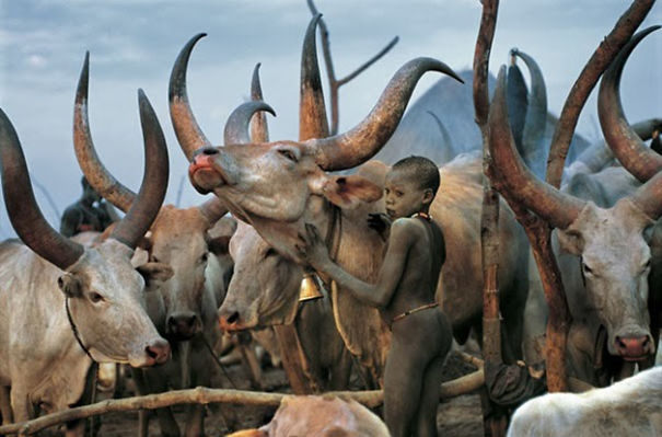 African Tribe: The Dinka People Of Sudan