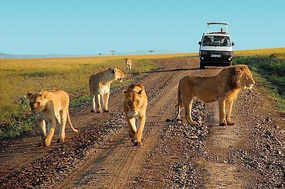 Kenya's top tourist attractions 