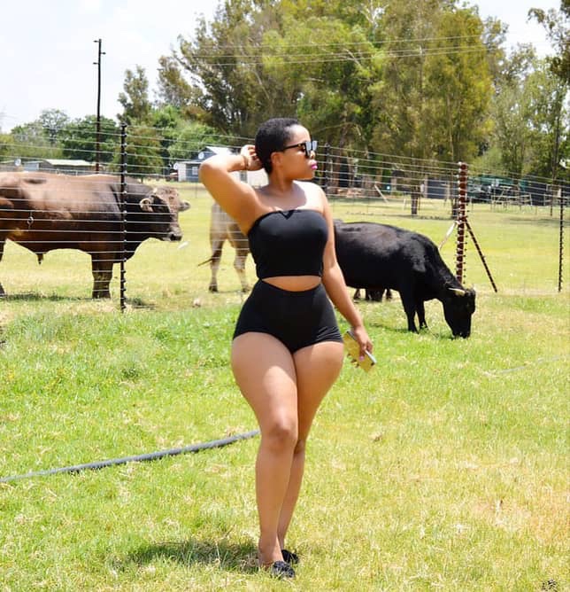 Most Curvy celebrities in South Africa 