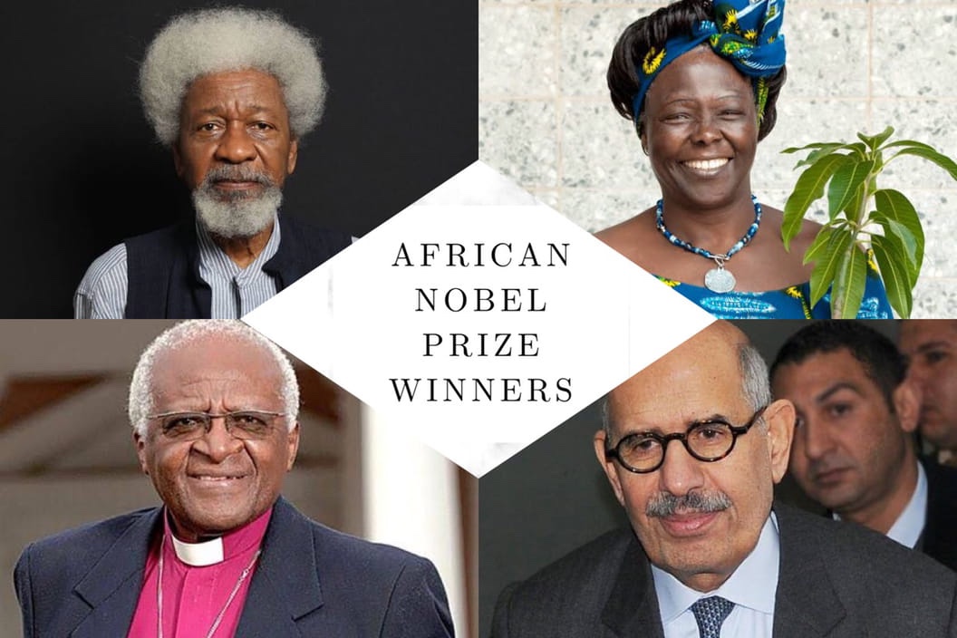 African Nobel Prize Winners By Country