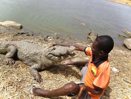 Paga – the Small Village in Ghana Where People Live in Harmony With Crocodiles
