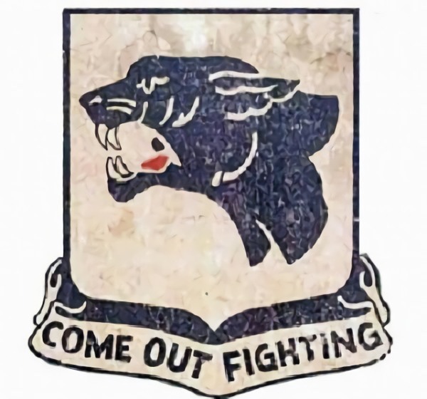 761st Tank Battalion: The Segregated Unit of the United States Army During World War II