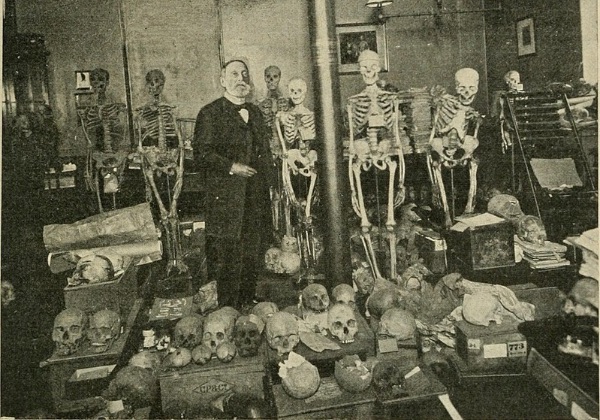 The Dark Science Behind the West’s Obsession with African Skulls During the Colonial Era - TalkAfricana